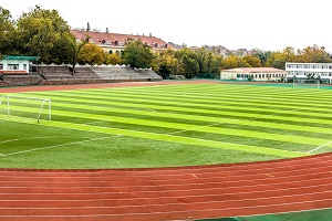 Cricket Practise Pitch